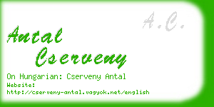 antal cserveny business card